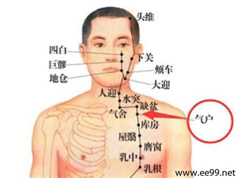 氣街 穴位